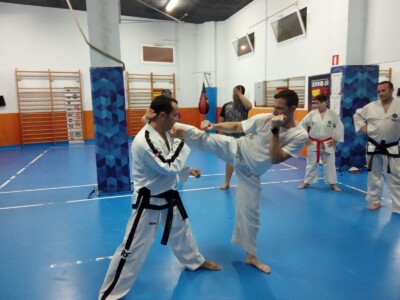 Taekwondo Roquetas